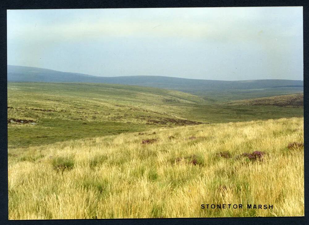 An image from the Dartmoor Trust Archive