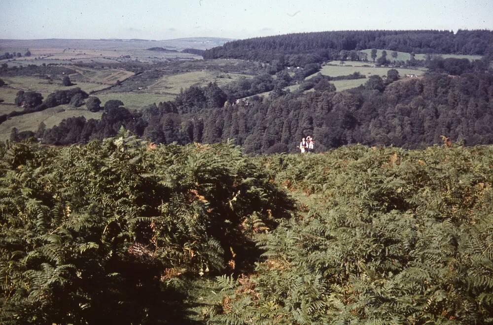 An image from the Dartmoor Trust Archive