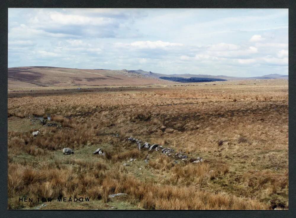 An image from the Dartmoor Trust Archive