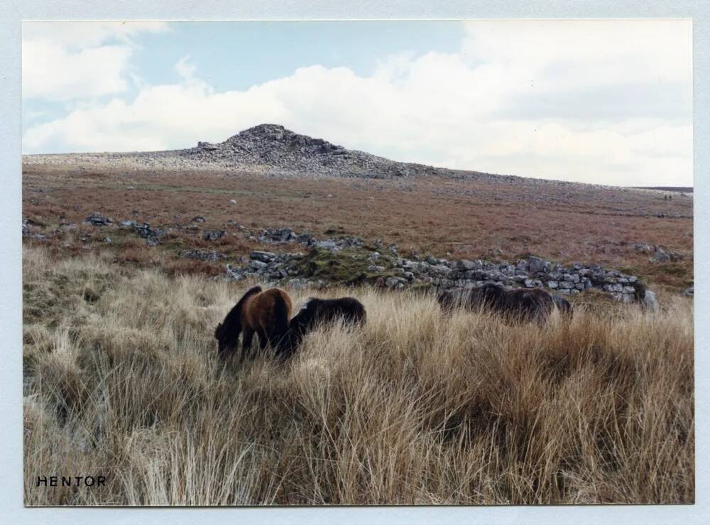 An image from the Dartmoor Trust Archive