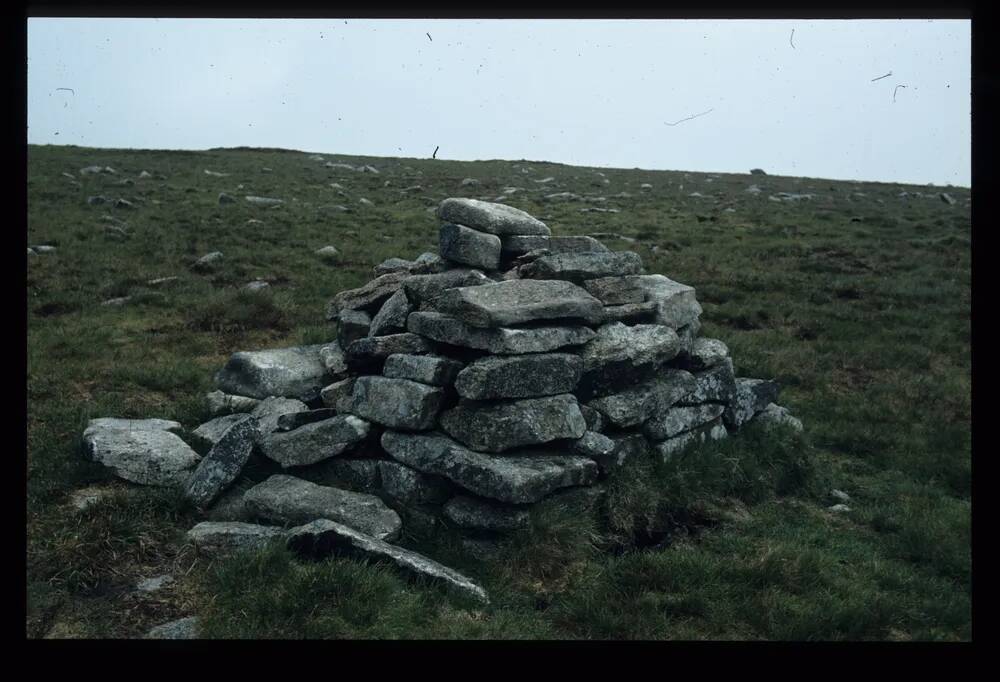 Meiler near Wild Tor