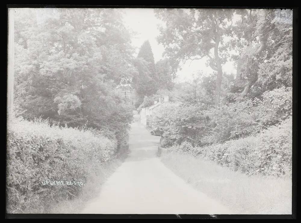 Leafy Lane, Uplyme