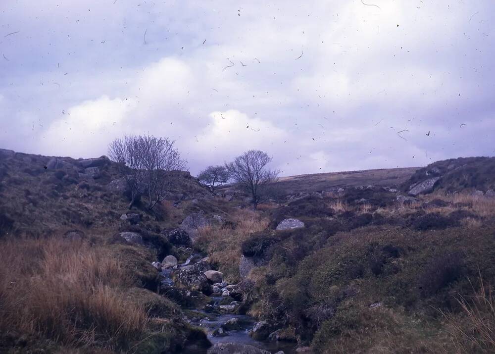 An image from the Dartmoor Trust Archive