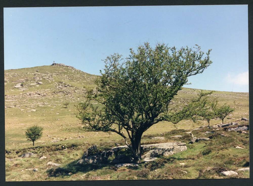 An image from the Dartmoor Trust Archive