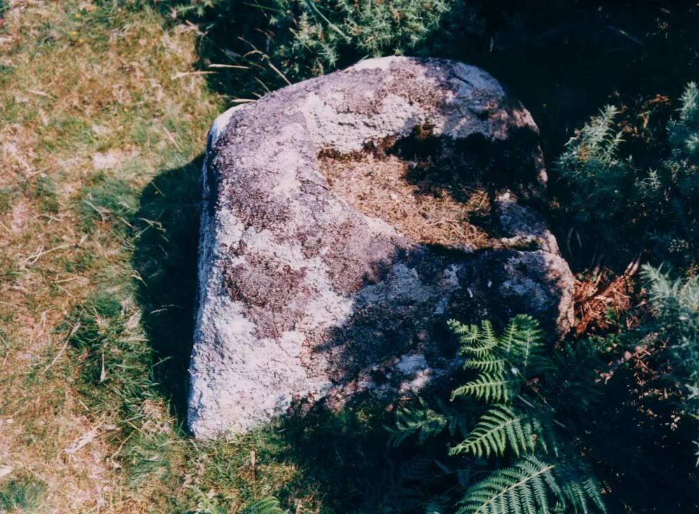 An image from the Dartmoor Trust Archive