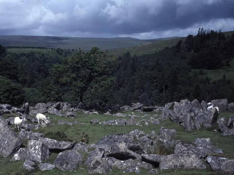 An image from the Dartmoor Trust Archive