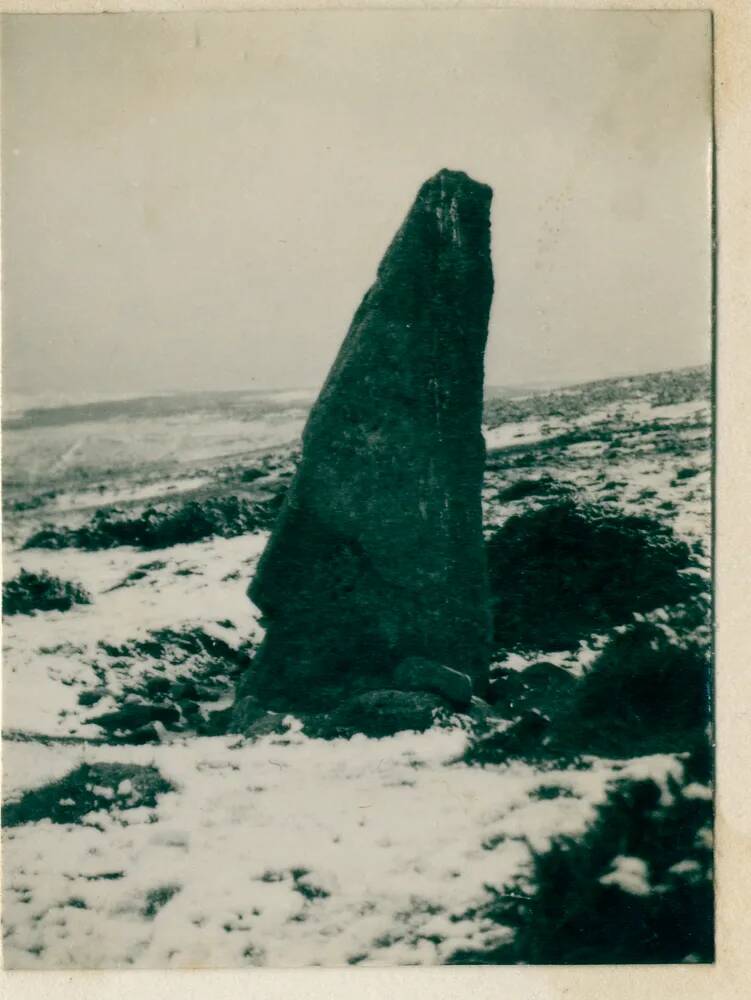 Menhir at Harbourne Head