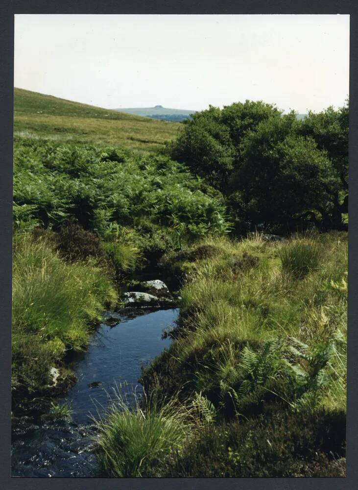 An image from the Dartmoor Trust Archive