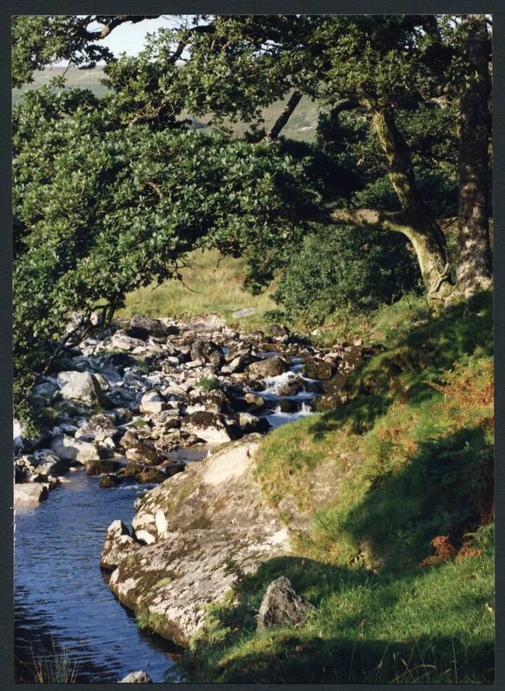 An image from the Dartmoor Trust Archive