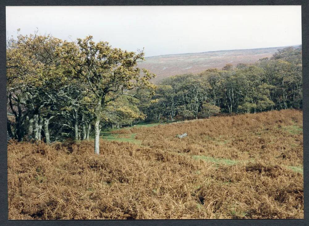 An image from the Dartmoor Trust Archive