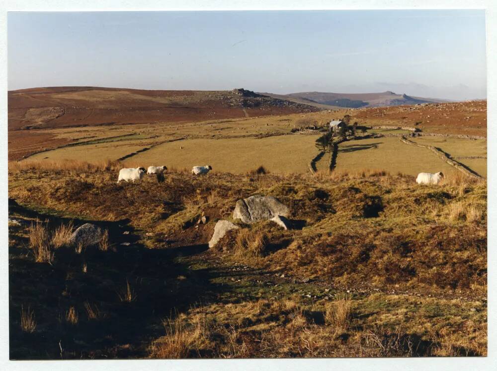 An image from the Dartmoor Trust Archive