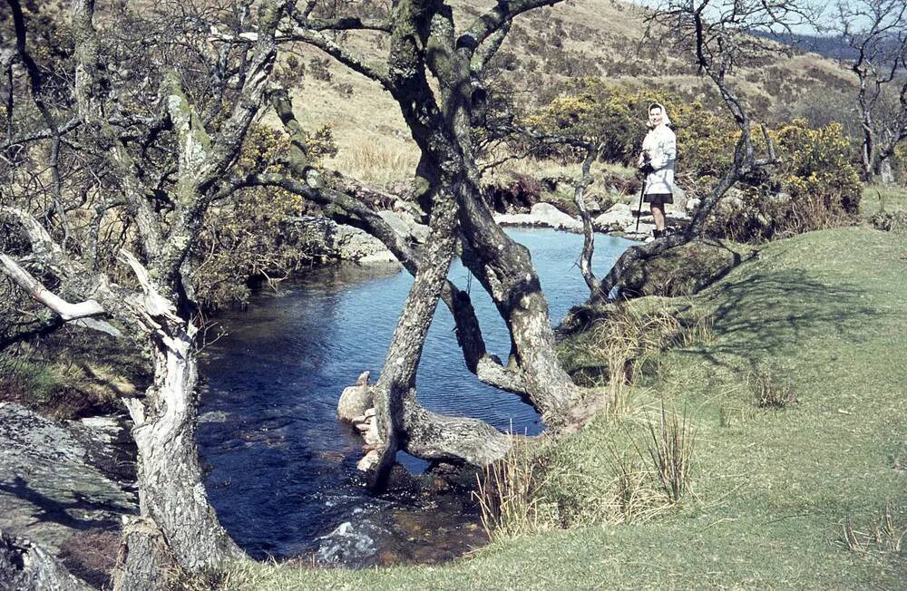 An image from the Dartmoor Trust Archive