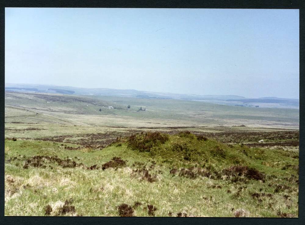 2/28 Above Fox Tor Mires 8/6/1994