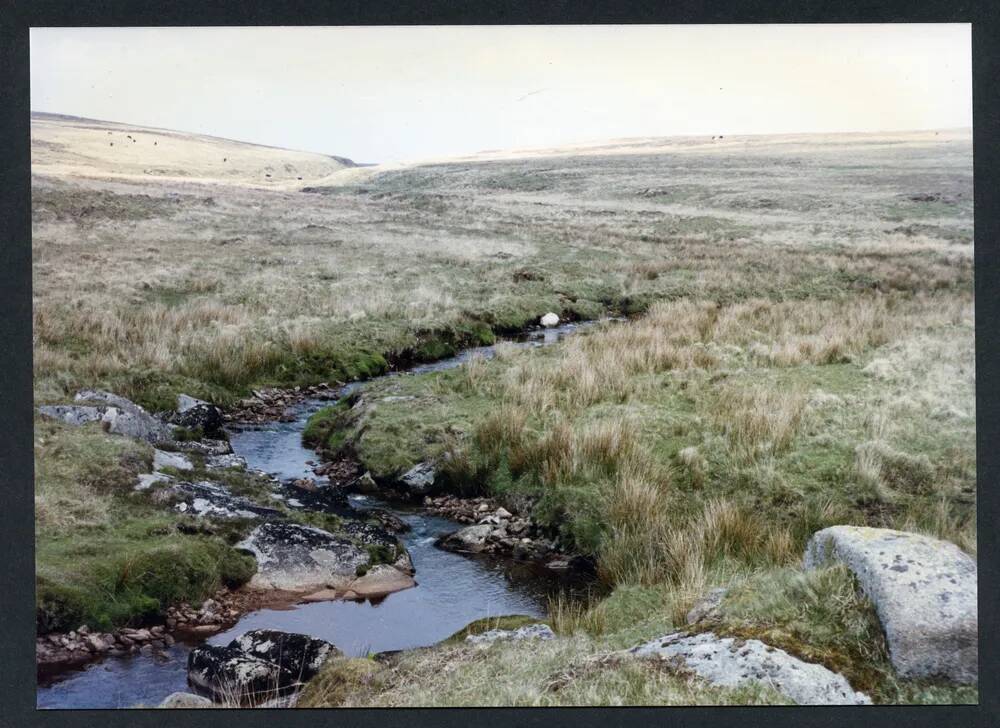 An image from the Dartmoor Trust Archive