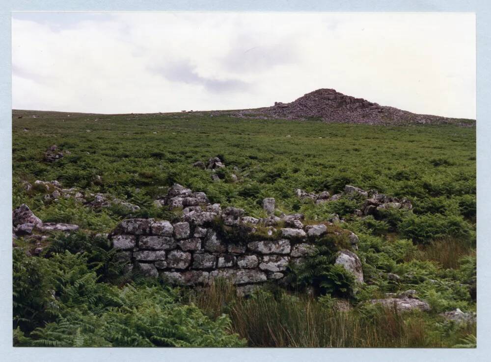 An image from the Dartmoor Trust Archive