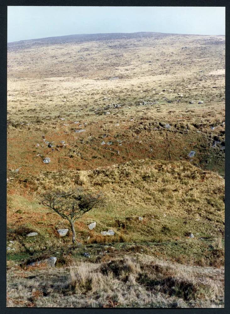 An image from the Dartmoor Trust Archive