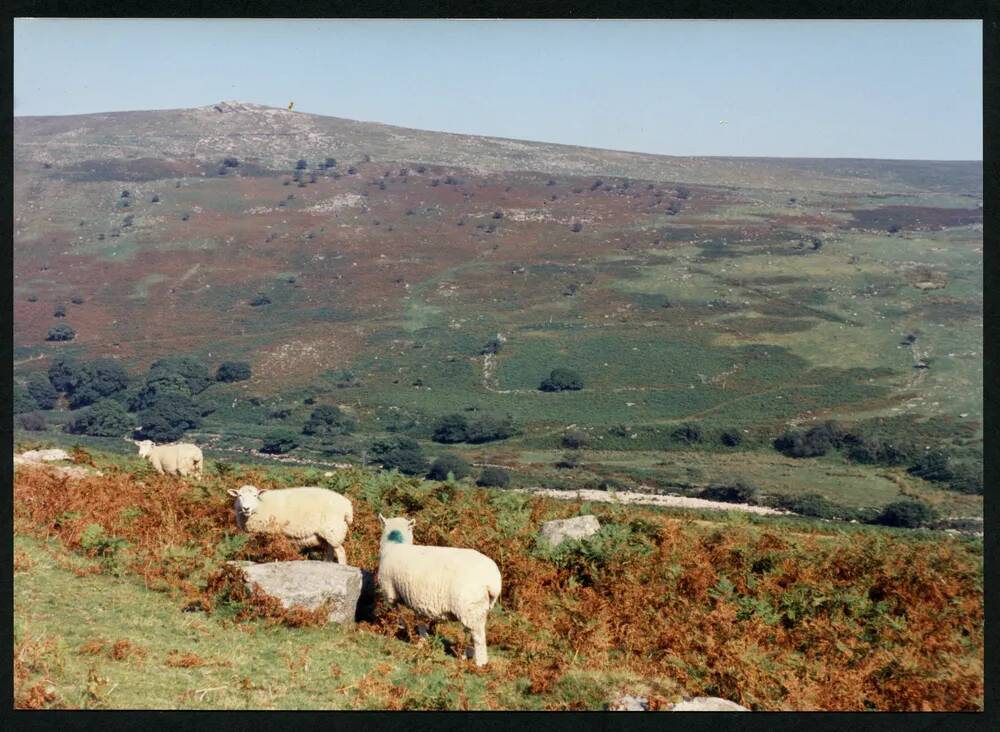 An image from the Dartmoor Trust Archive