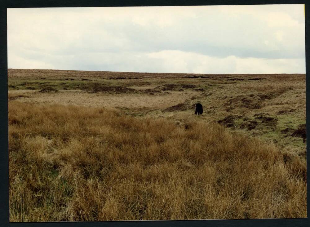 An image from the Dartmoor Trust Archive