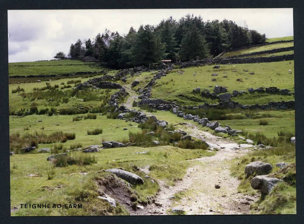 An image from the Dartmoor Trust Archive