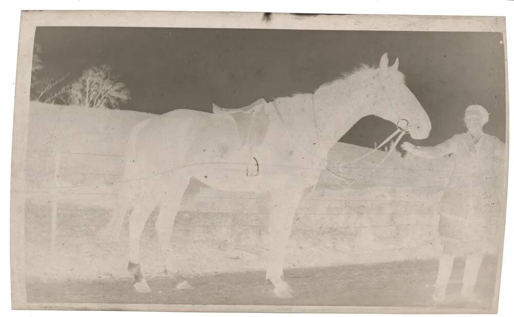 An image from the Dartmoor Trust Archive