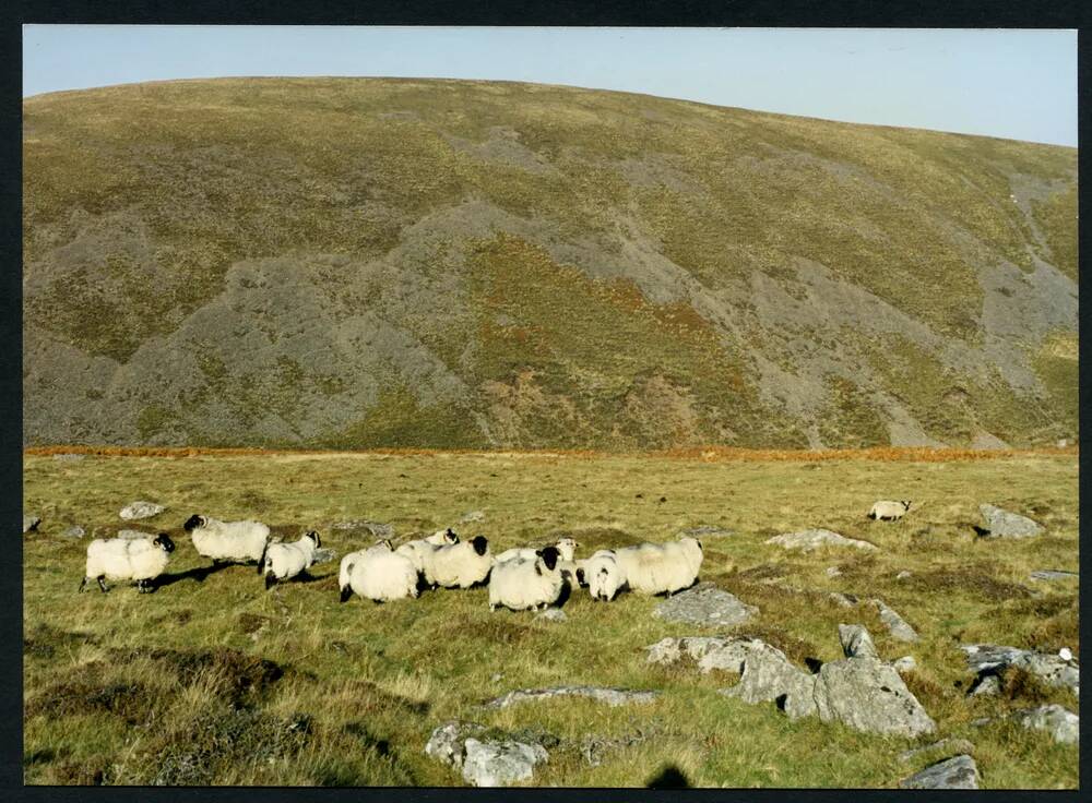 An image from the Dartmoor Trust Archive