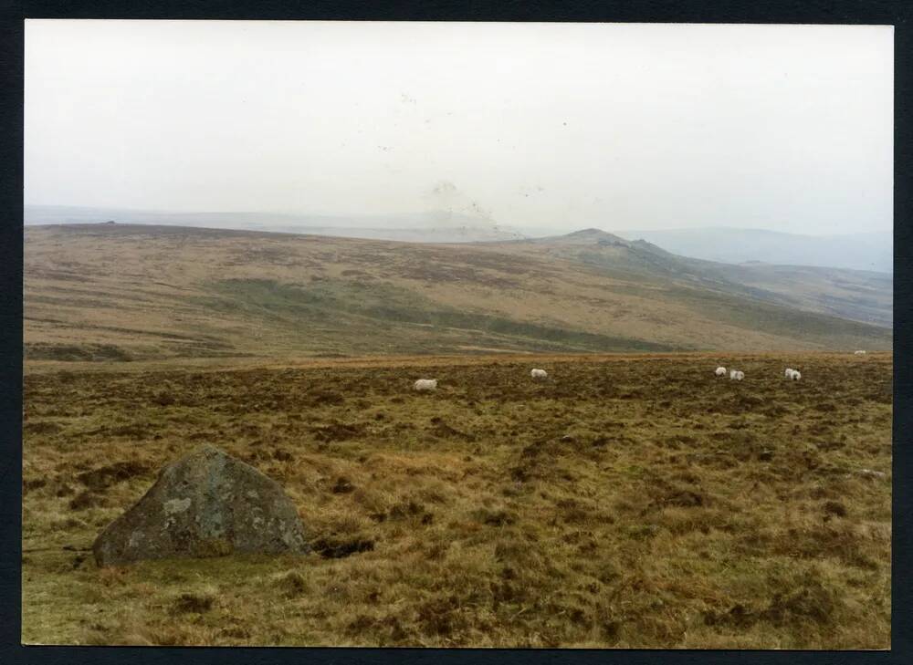 An image from the Dartmoor Trust Archive