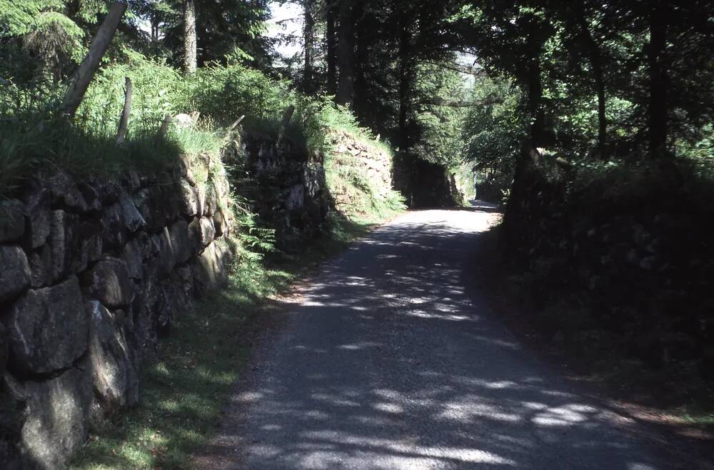 An image from the Dartmoor Trust Archive