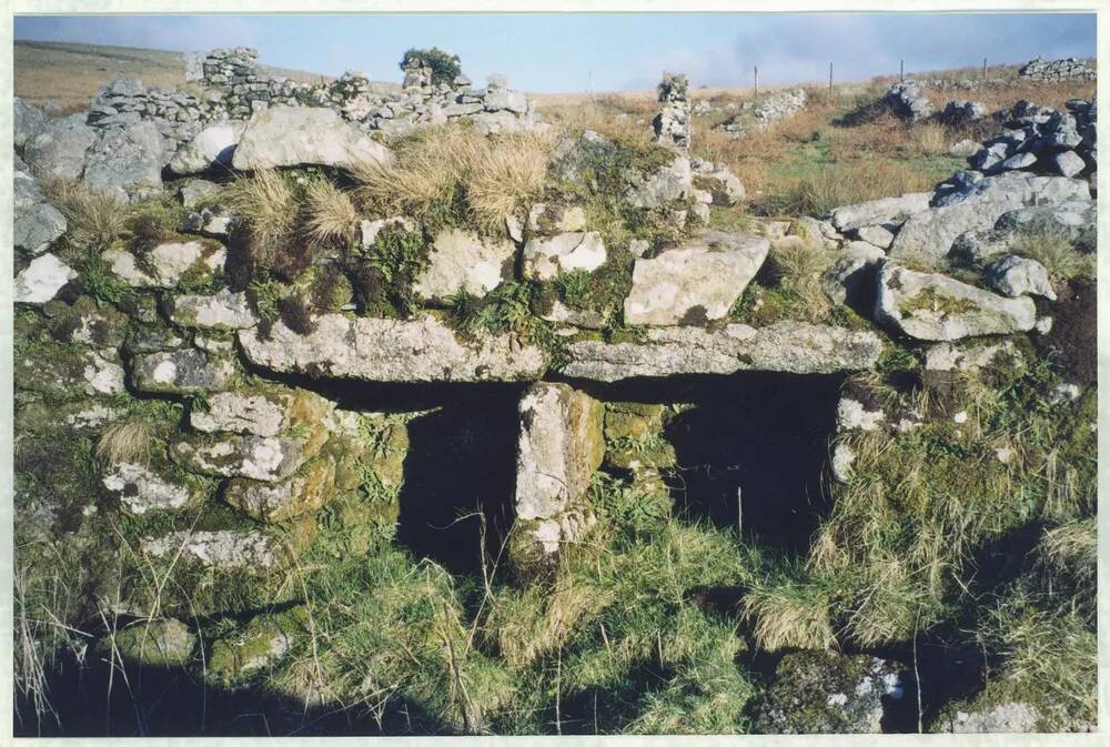 An image from the Dartmoor Trust Archive