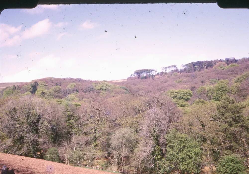 An image from the Dartmoor Trust Archive