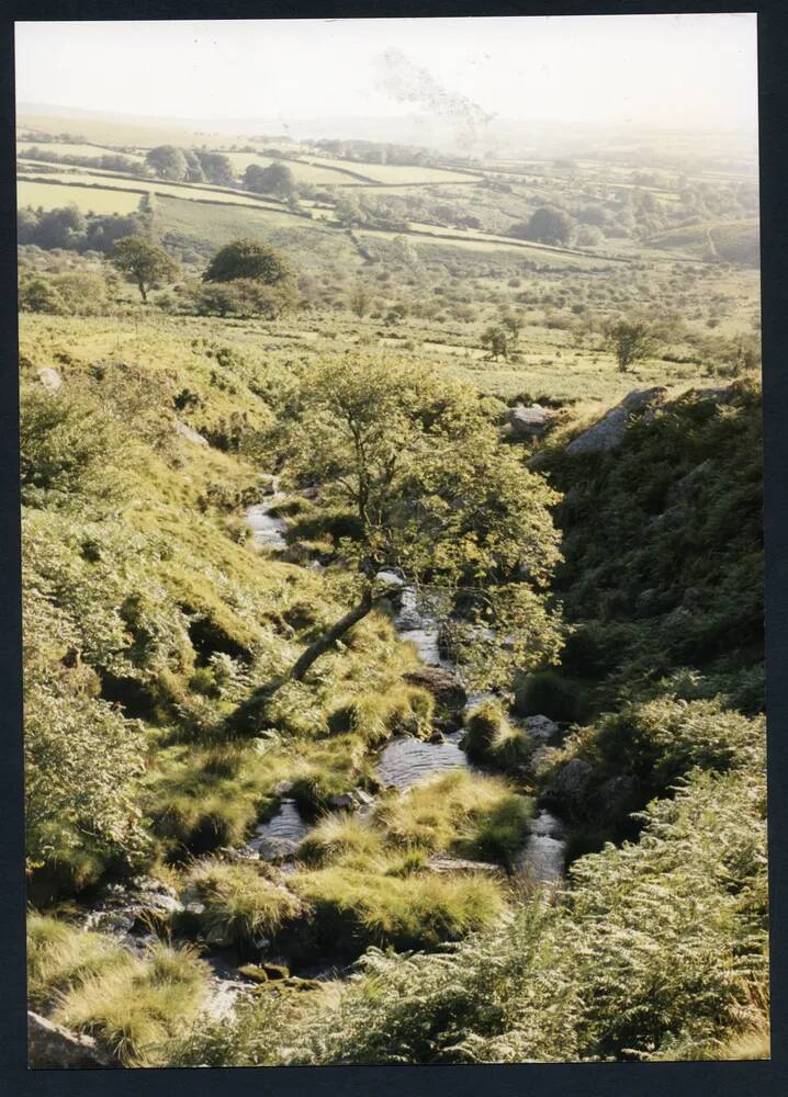 An image from the Dartmoor Trust Archive