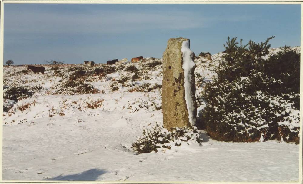 An image from the Dartmoor Trust Archive