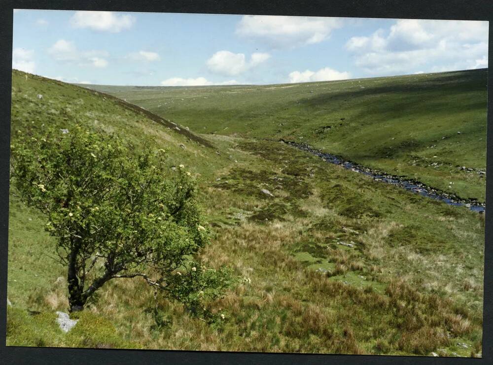 An image from the Dartmoor Trust Archive