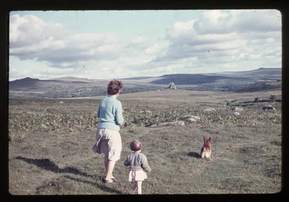 Vixen Tor