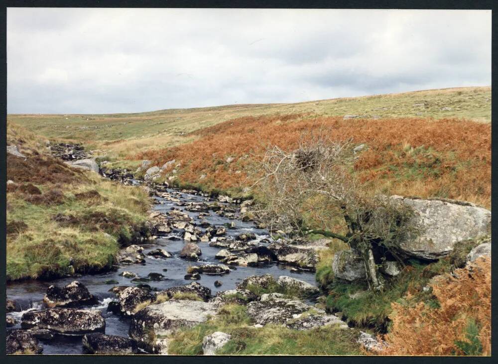 An image from the Dartmoor Trust Archive