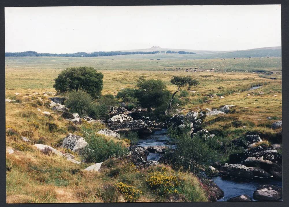 An image from the Dartmoor Trust Archive