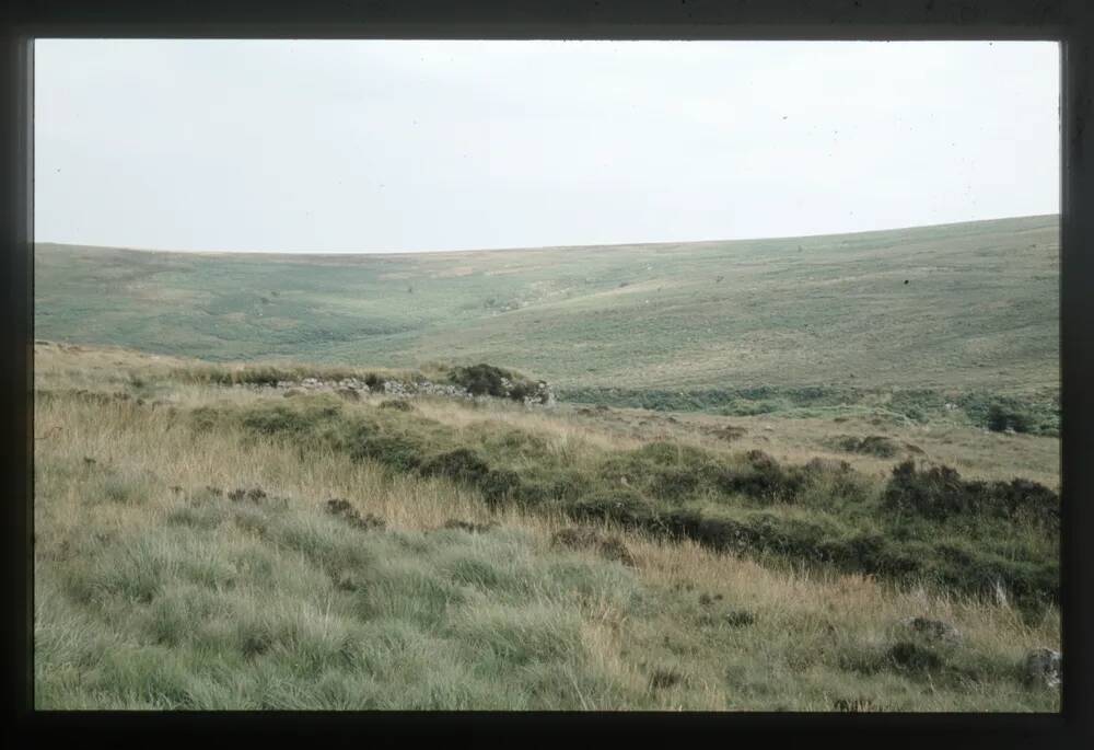 Leat and Wheelpit on O Brook