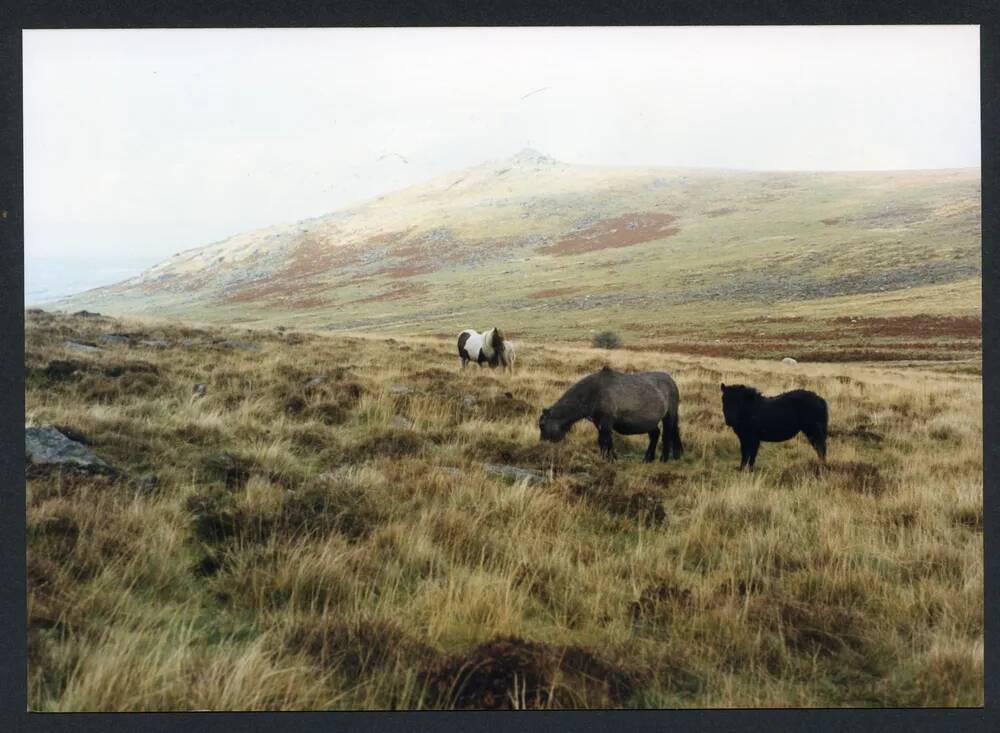 An image from the Dartmoor Trust Archive