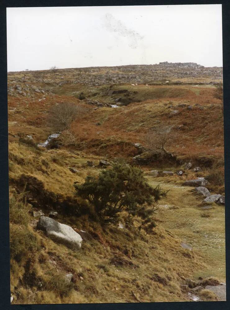 An image from the Dartmoor Trust Archive