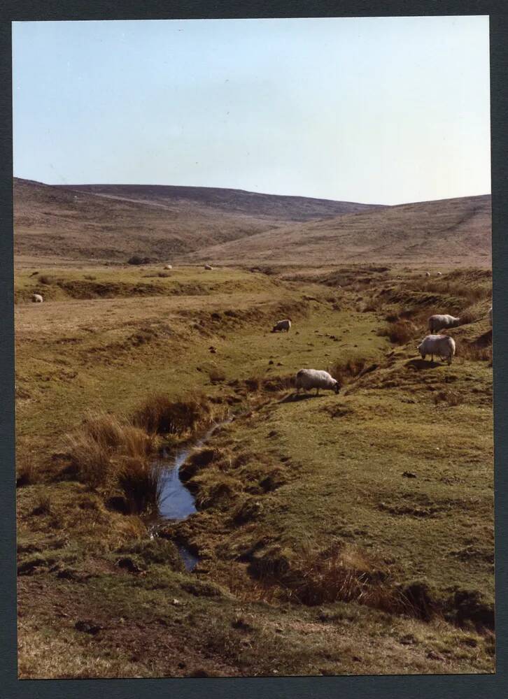 An image from the Dartmoor Trust Archive