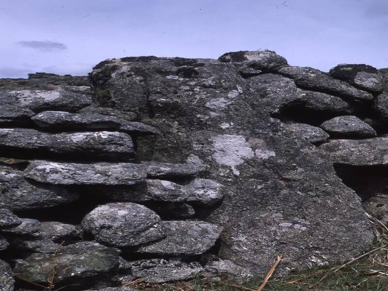 An image from the Dartmoor Trust Archive