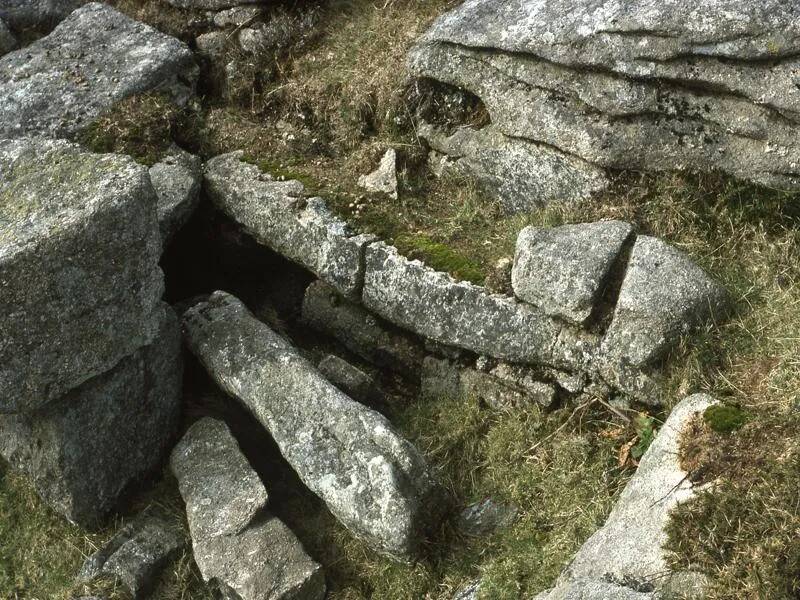 An image from the Dartmoor Trust Archive