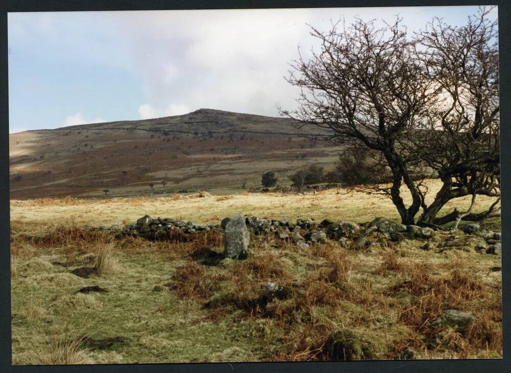 An image from the Dartmoor Trust Archive