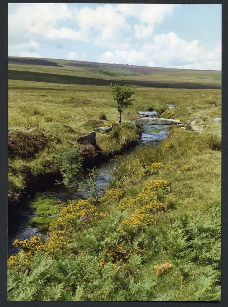 An image from the Dartmoor Trust Archive