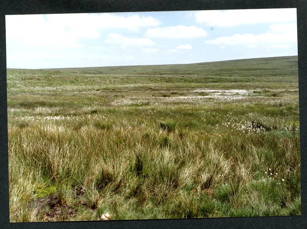 15/34 Western edge Aune Head Mires 30/6/1994