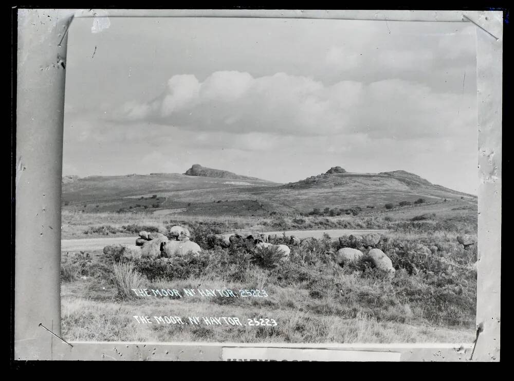 The Moor, near Haytor, Ilsington