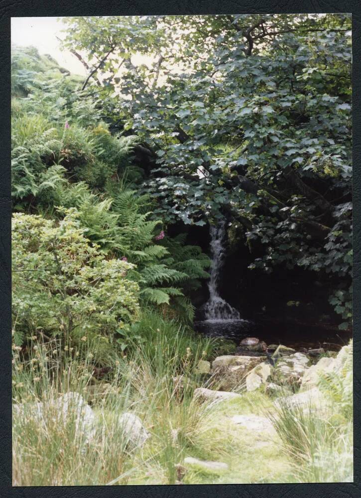 An image from the Dartmoor Trust Archive