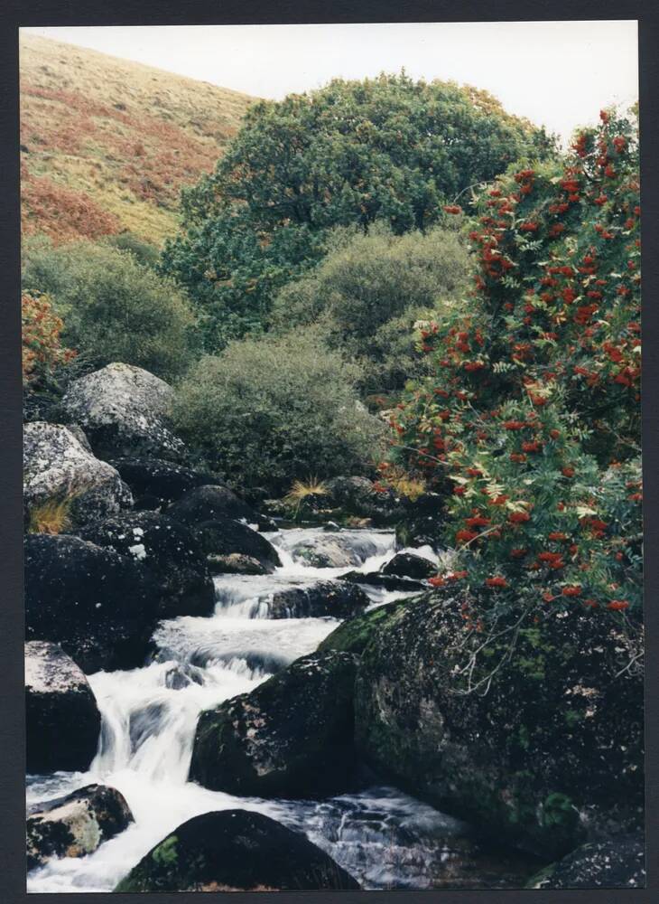 An image from the Dartmoor Trust Archive