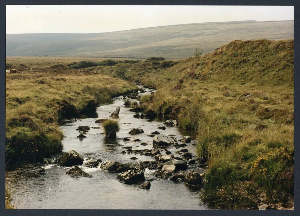 An image from the Dartmoor Trust Archive