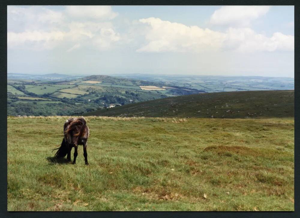 24/34 Brent Hill from Old Hill foot 20/6/1991