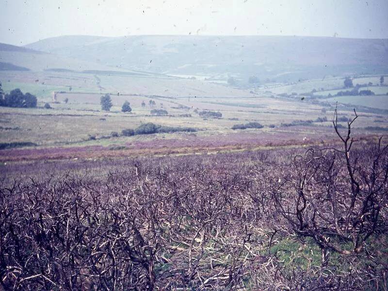 An image from the Dartmoor Trust Archive